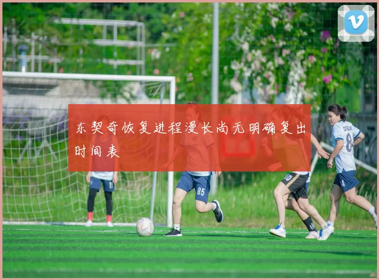 东契奇恢复进程漫长尚无明确复出时间表