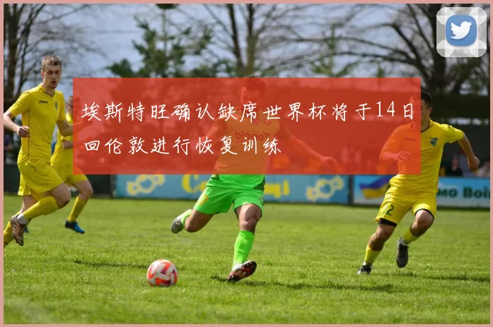 埃斯特旺确认缺席世界杯将于14日回伦敦进行恢复训练